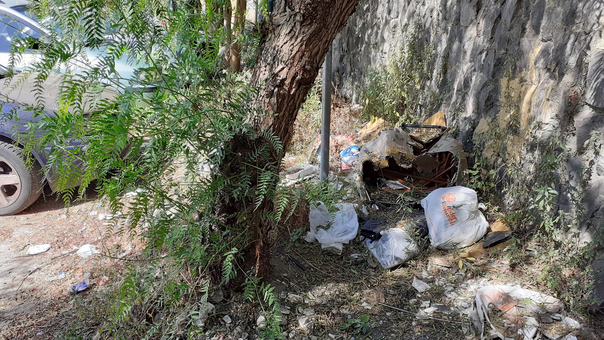 217547050_10226900255523075_6284837370065011803_n