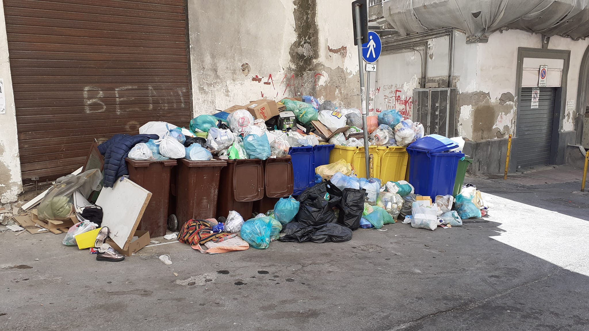 217874180_10226907017492120_8265618347591834114_n