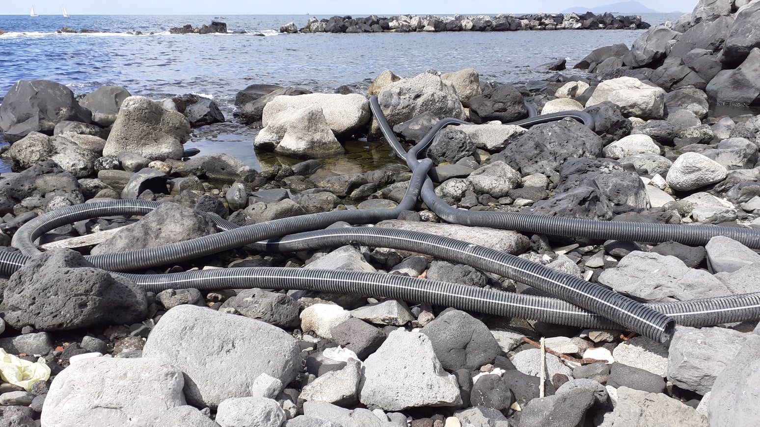 217903503_10226928064858291_1635271293342815881_n