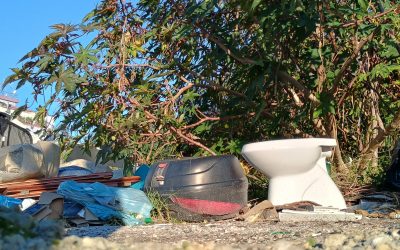 La battaglia per l’educazione civica