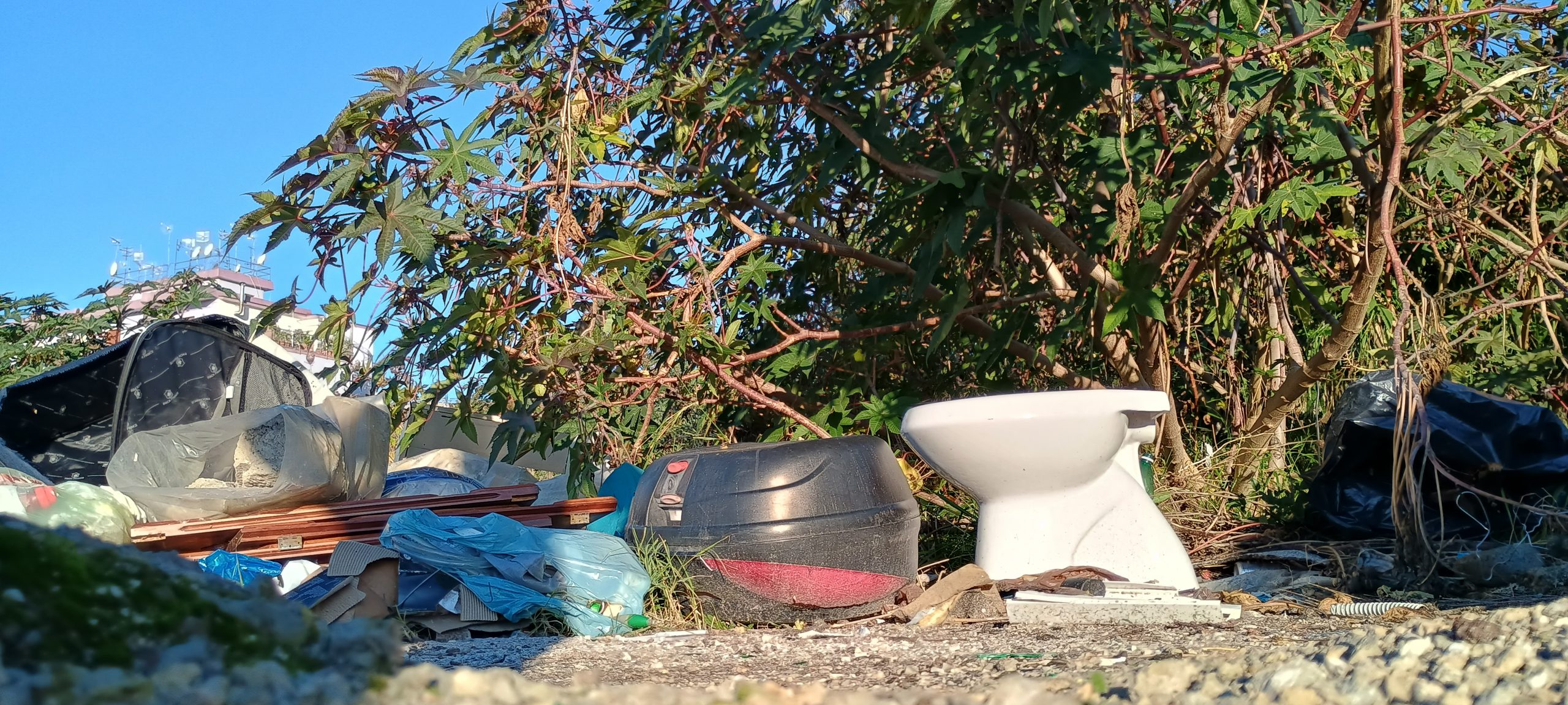 La battaglia per l'educazione civica