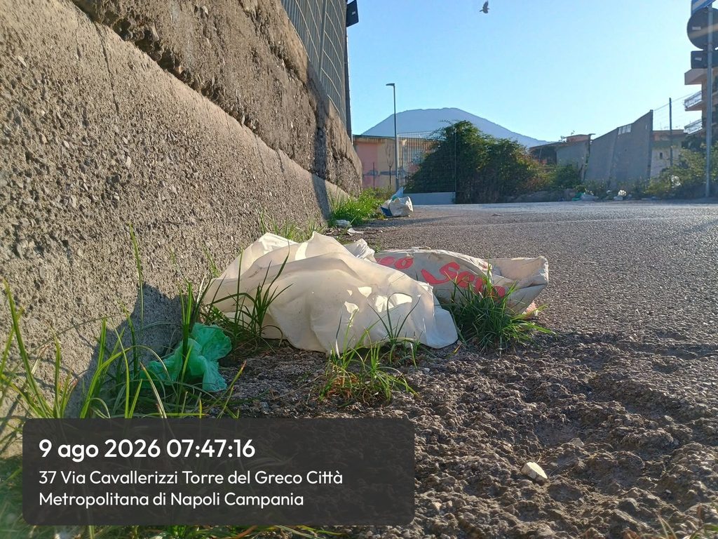 Gli handicappati mentali