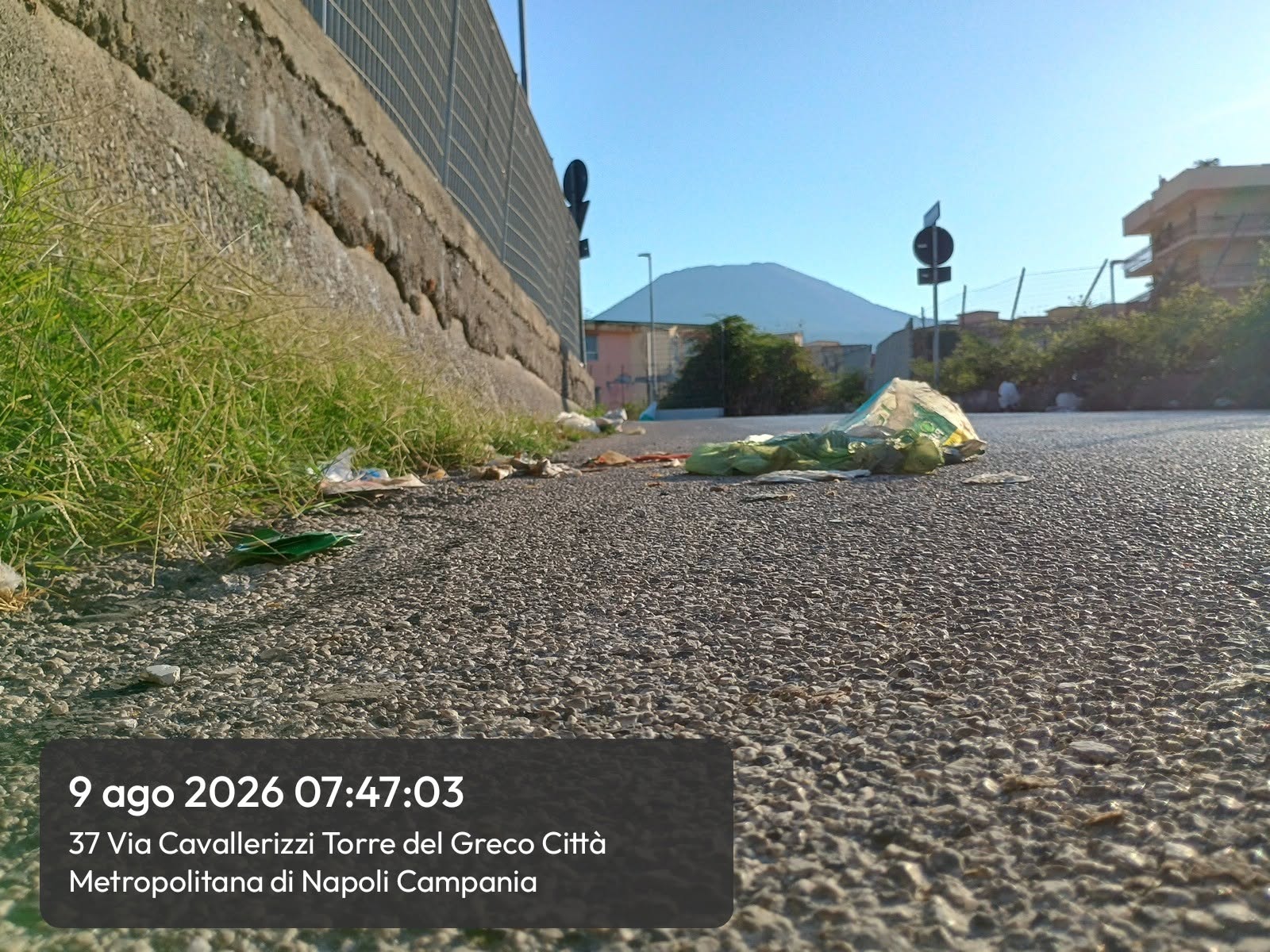 Gli handicappati mentali